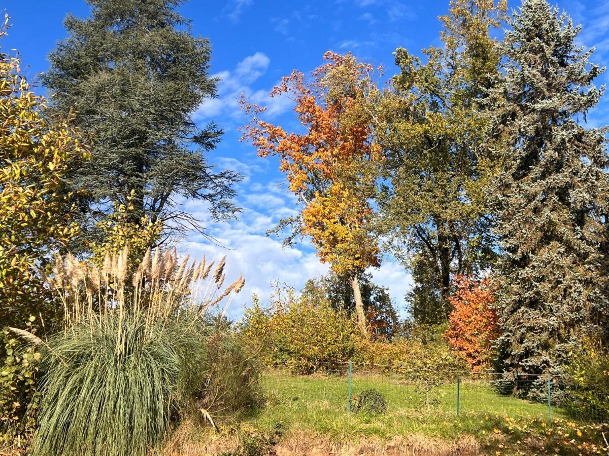 Domaine Le Manoir, Gites De Charme Et De Caractere Avec Piscines Privatisees Et Spa Nordique Fossemagne Exterior foto